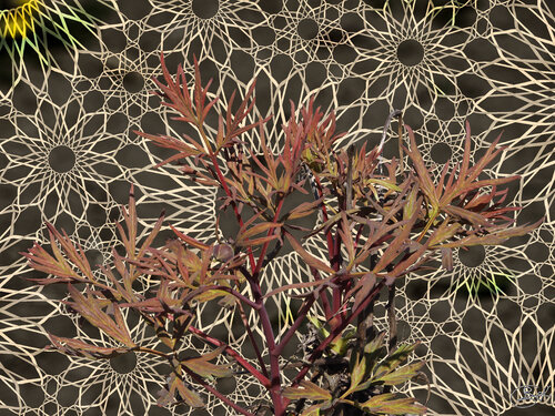 Trame émergente et persistante par Raphaël Galante, Digital en vente sur Singulart