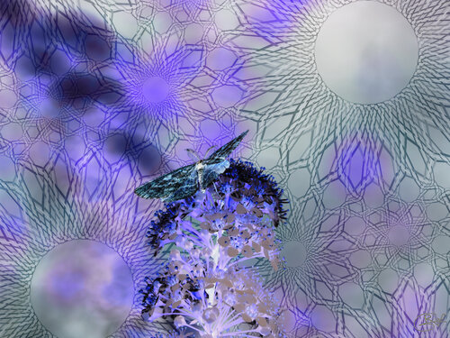 Spectre d’une droiture persistante by Raphaël Galante, Digital for Sale on Singulart