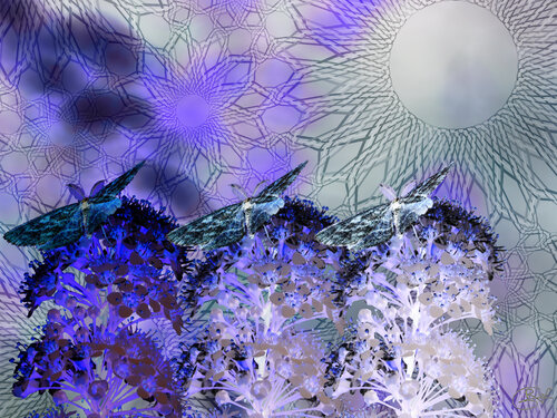 Parallèle pour un transit vers l’affinité von Raphaël Galante, Digital kaufen auf Singulart