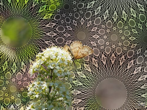 Le veilleur du tissand bienveillant by Raphaël Galante, Digital for Sale on Singulart