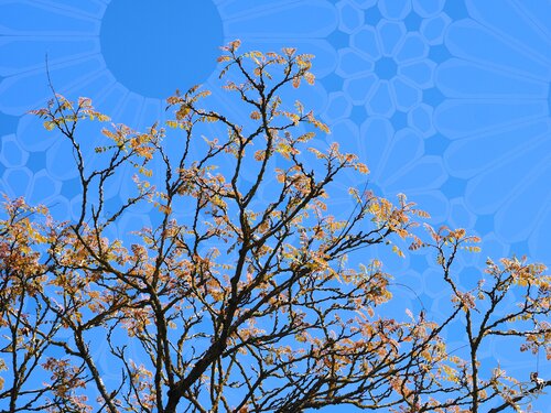 Le secret des branches de feu de Raphaël Galante, Digital a la venta en Singulart