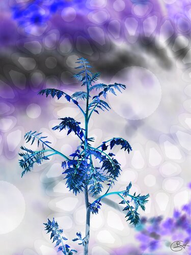 Flamme et cendre frigorifiées van Raphaël Galante, Digitaal te koop op Singulart