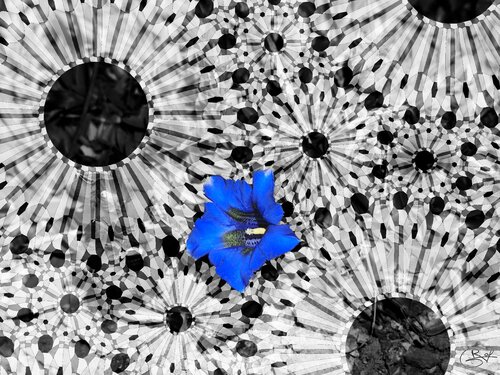 Naissance sur un tissage cendré par Raphaël Galante, Digital en vente sur Singulart