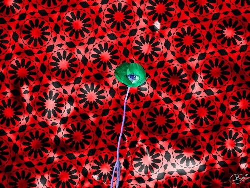 Force nue entre deux cosmos incommensurables van Raphaël Galante, Digitaal te koop op Singulart