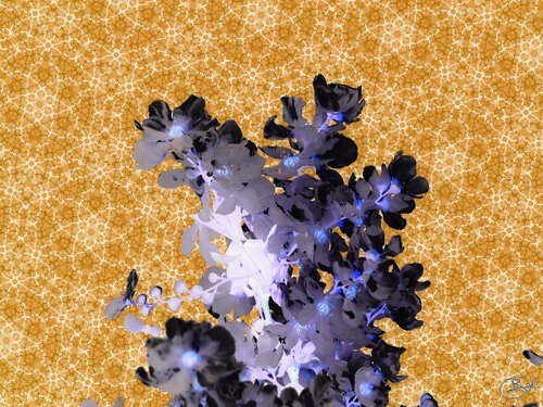 Tessiture d’embrasement en fleur di Raphaël Galante, Digitale in vendita su Singulart