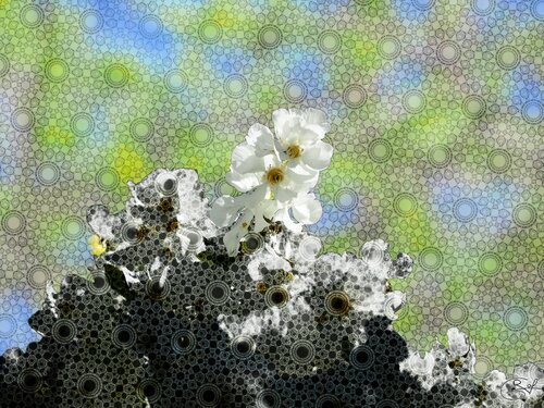 Émergence blanche sous écume by Raphaël Galante, Digital for Sale on Singulart