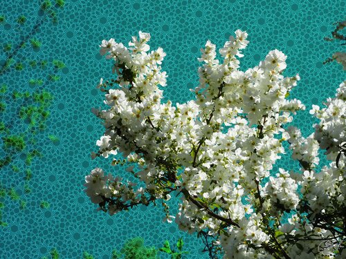 À la lisière des liseraies bleutées by Raphaël Galante, Digital for Sale on Singulart