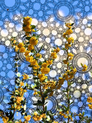 Jour en clair-mystère by Raphaël Galante, Digital for Sale on Singulart