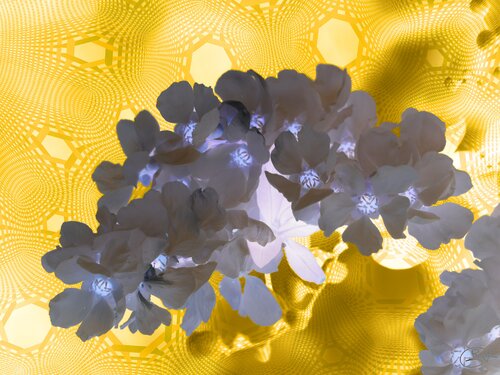 Bain d’or obscur by Raphaël Galante, Digital for Sale on Singulart