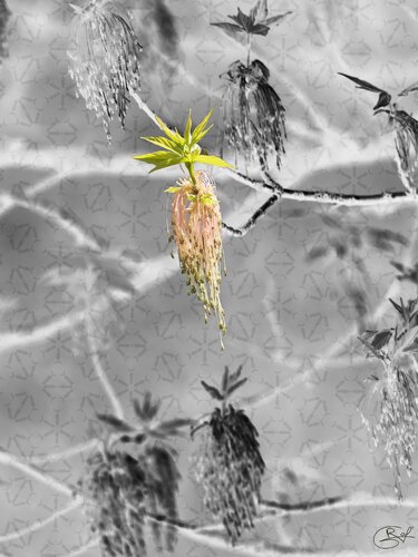 Vestige en apesanteur par Raphaël Galante, Digital en vente sur Singulart