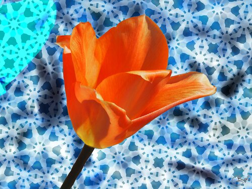 Le désordre imaginaire de la croix carrée by Raphaël Galante, Digital for Sale on Singulart