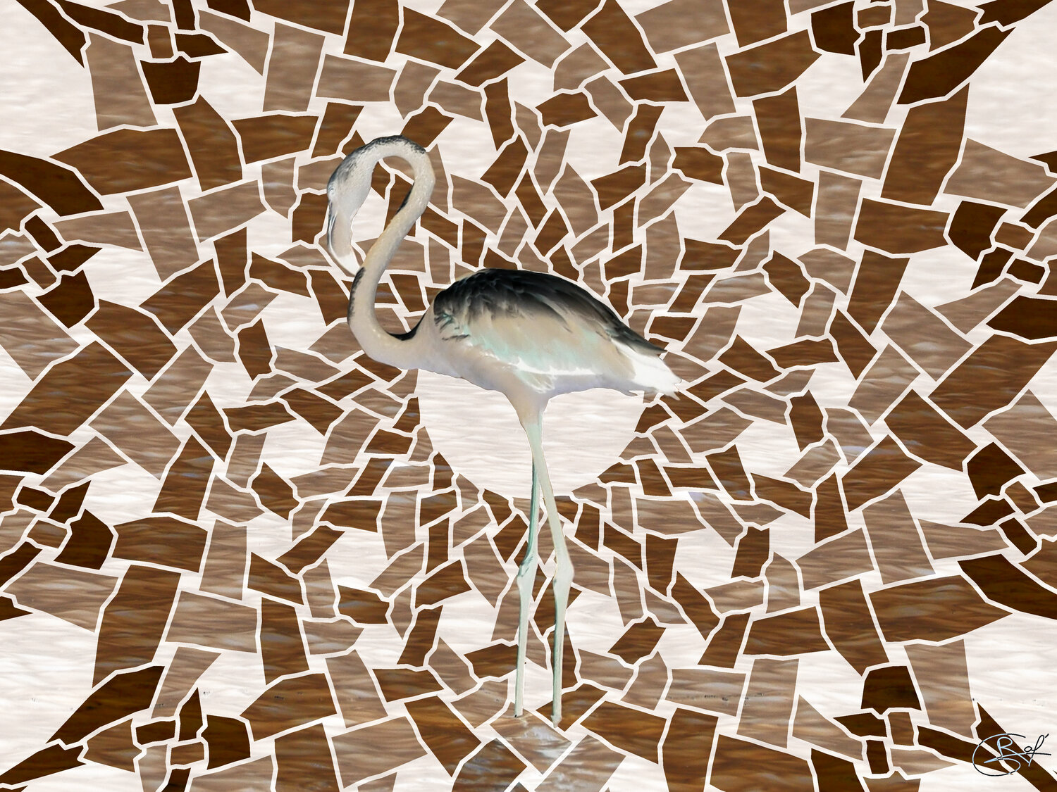 Portrait d'un flamant rose (24-08-2022) Raphaël Galante Druck zu verkaufen