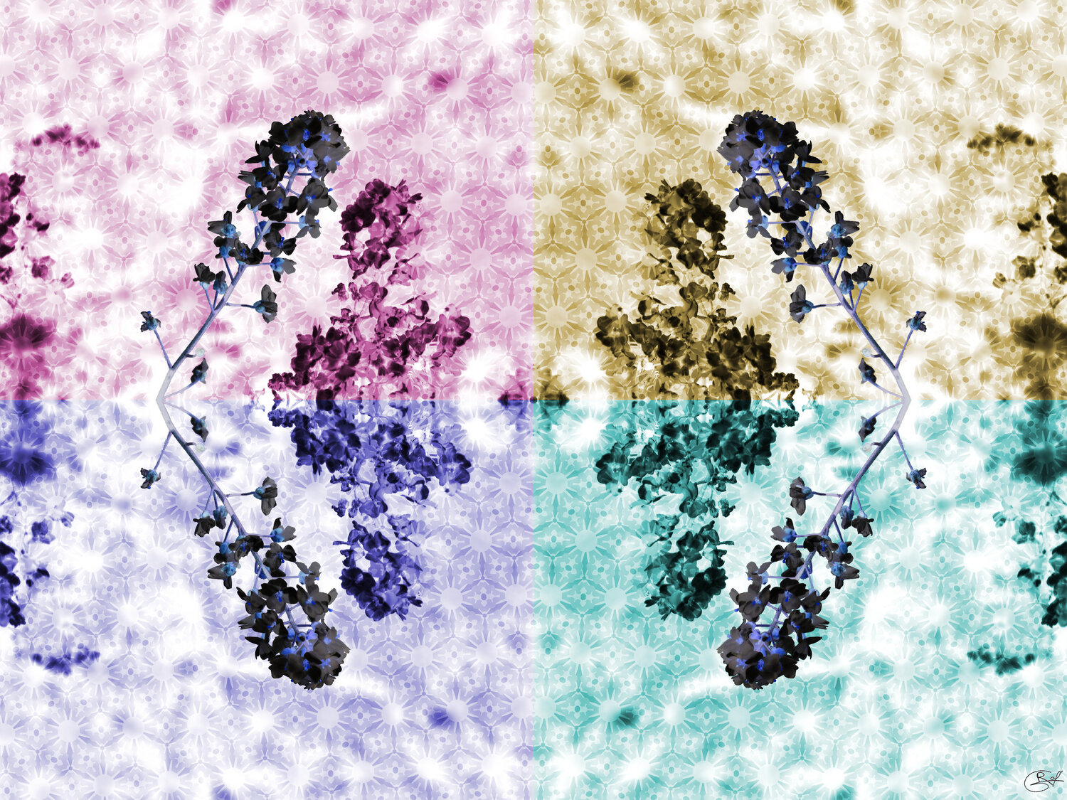 Diamant renversé Raphaël Galante