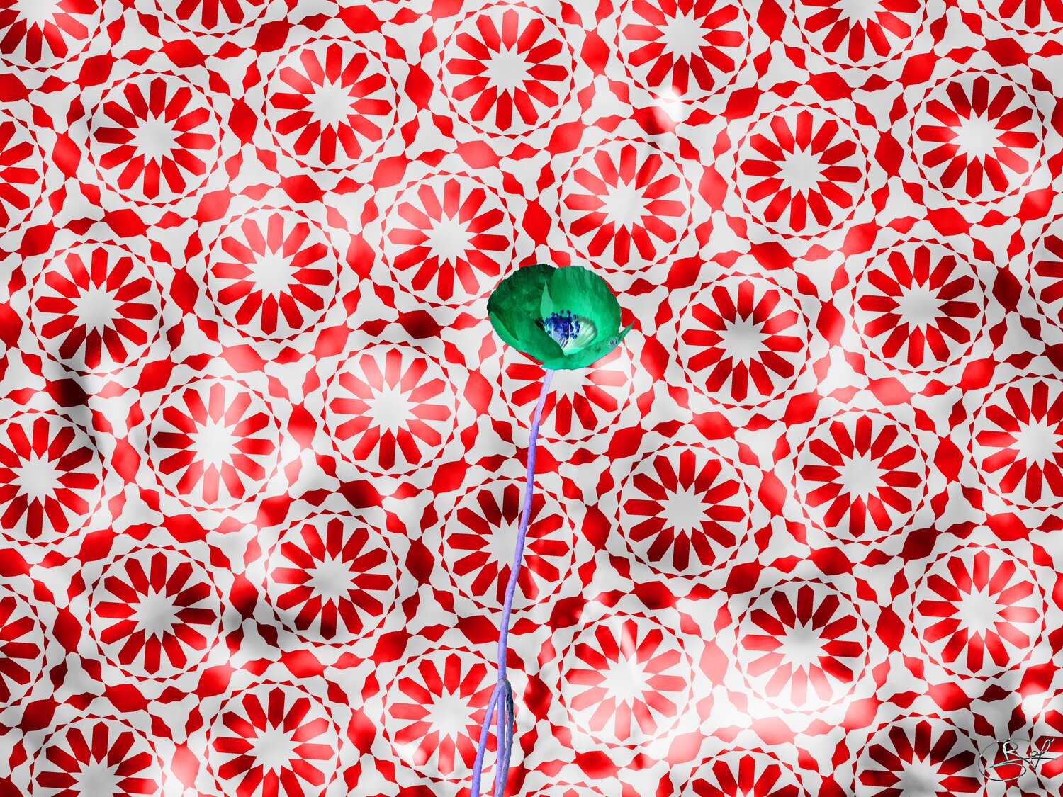 Cendre d’amour entre deux cosmos incommensurables Raphaël Galante Digitale in vendita