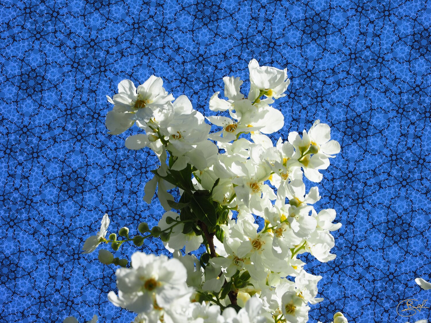 Tessiture du ciel en fleurs Raphaël Galante Digital for sale