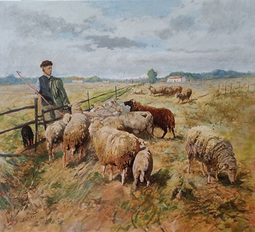 Sheep on the plain von Dávid Prokaj, Malerei kaufen auf Singulart