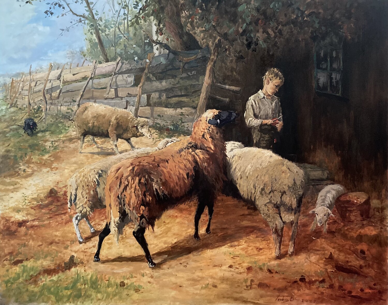 oy with apple among the sheep Dávid Prokaj