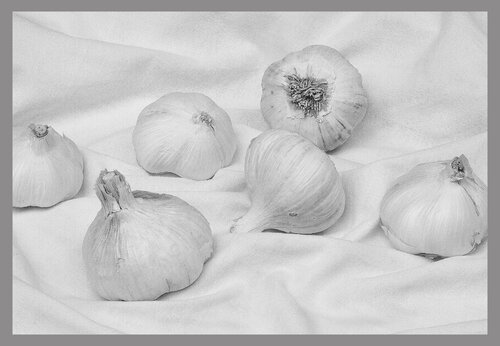 Stillleben mit Knoblauch Folker Reinhold Peter Pritsch