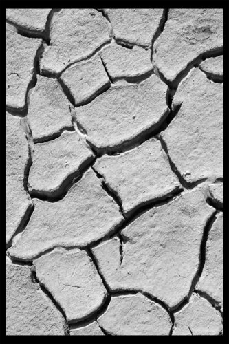 Risse in Teichboden von Folker Reinhold Peter Pritsch, Fotografie kaufen auf Singulart