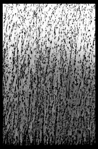 Metallplatte von Folker Reinhold Peter Pritsch, Fotografie kaufen auf Singulart