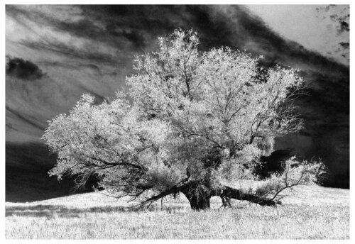 Landschaft bei Pfingstberg de Folker Reinhold Peter Pritsch, Fotografía a la venta en Singulart
