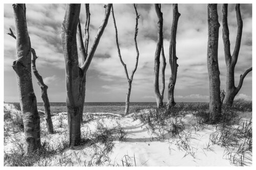 Darßer Weststrand by Folker Reinhold Peter Pritsch, Photography for Sale on Singulart