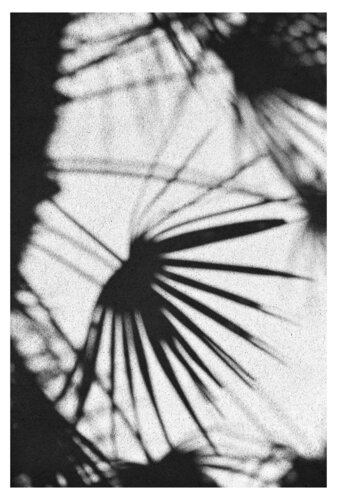 Schattenbild di Folker Reinhold Peter Pritsch, Fotografia in vendita su Singulart