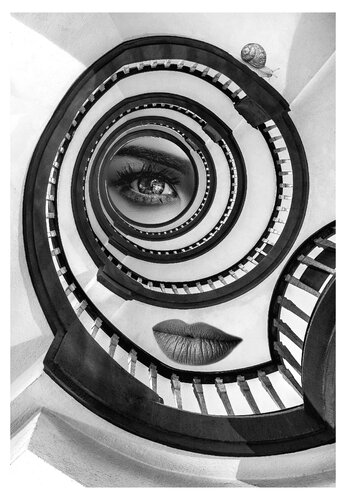 Die Schnecke van Folker Reinhold Peter Pritsch, Digitaal te koop op Singulart