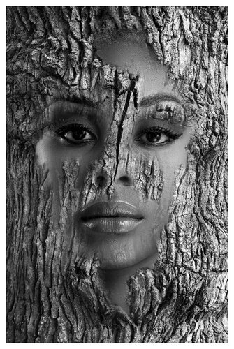 Alt wie ein Baum de Folker Reinhold Peter Pritsch, Digital a la venta en Singulart