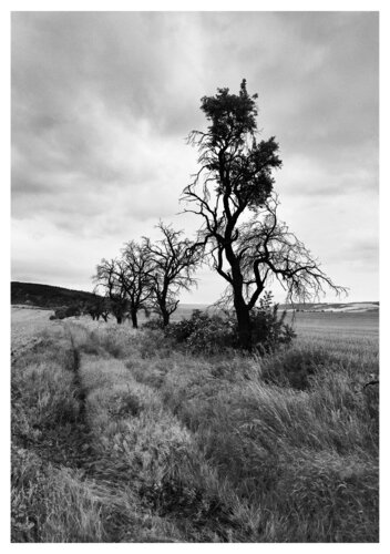 Thüringer Landschaft von Folker Reinhold Peter Pritsch, Fotografie kaufen auf Singulart