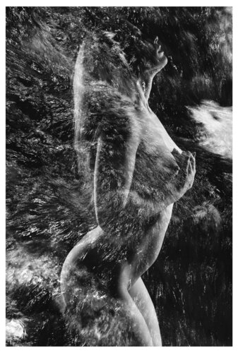 Lebenselexier (II) di Folker Reinhold Peter Pritsch, Digitale in vendita su Singulart