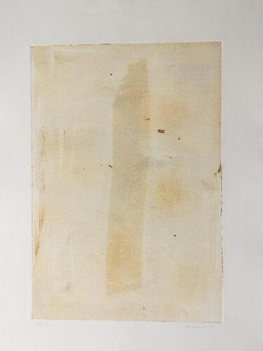 Percorsi Evolutivi by Elisabetta Nicolai, 종이 for Sale on Singulart