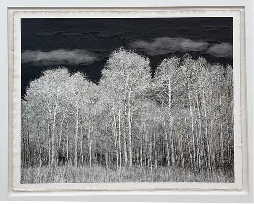 Aspens at Wood River by Bill Claps, Other Media for Sale on Singulart