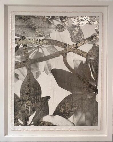 Tropical Thicket, 2015 by Bill Claps, Other Media for Sale on Singulart