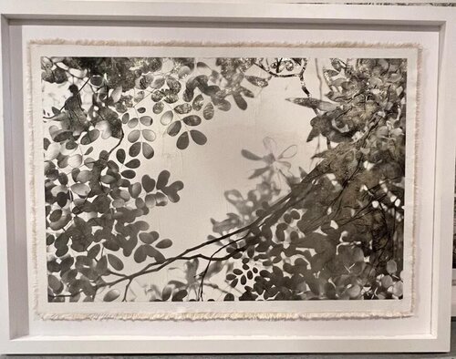 Jungle Canopy II by Bill Claps, Other Media for Sale on Singulart