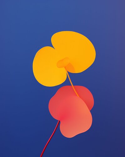 Minimalistic floral illustration #2 par Richard Gibson, Digital en vente sur Singulart