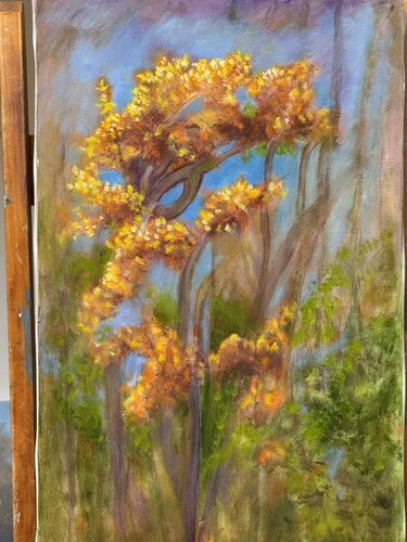 Spring Sun von Sheila Olivier-Carchidi, Malerei kaufen auf Singulart