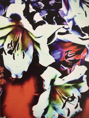 Colorful flower von Claudia Altemeier, Fotografie kaufen auf Singulart