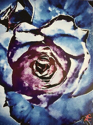 Dark Rose von Claudia Altemeier, Fotografie kaufen auf Singulart