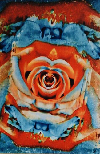Orange and blue von Claudia Altemeier, Fotografie kaufen auf Singulart