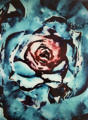 Blue Rose di Claudia Altemeier, Fotografia in vendita su Singulart