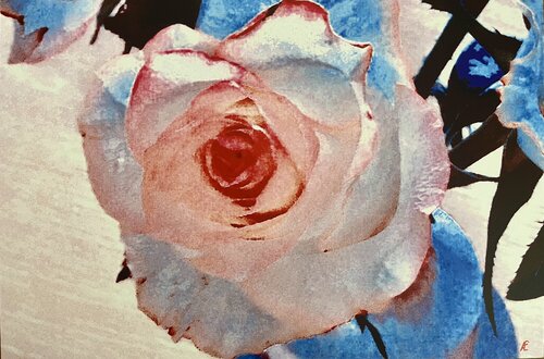 Die Zarte Claudia Altemeier