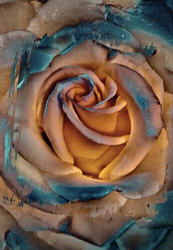 Die Extravagante by Claudia Altemeier, Photography for Sale on Singulart