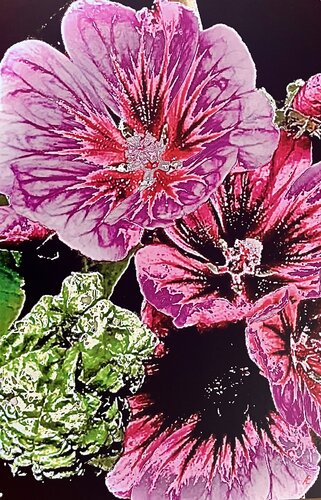 Memory of summer di Claudia Altemeier, Fotografia in vendita su Singulart