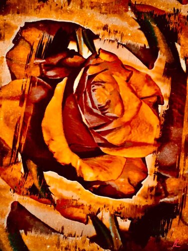 Herbstzeitrose di Claudia Altemeier, Fotografia in vendita su Singulart
