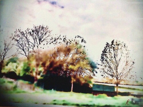 Mein Spazierweg von Claudia Altemeier, Fotografie kaufen auf Singulart