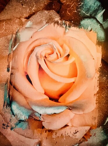 Die Verspielte by Claudia Altemeier, Photography for Sale on Singulart