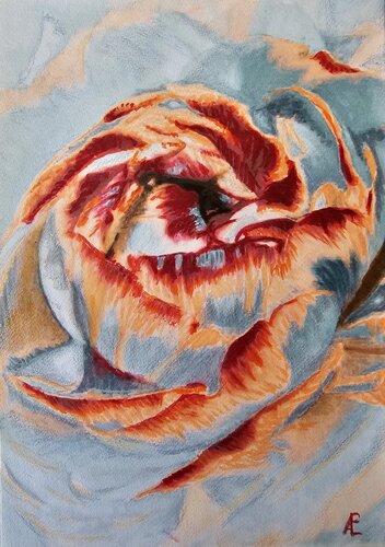 Ranunkel abstrakt di Claudia Altemeier, Pittura in vendita su Singulart