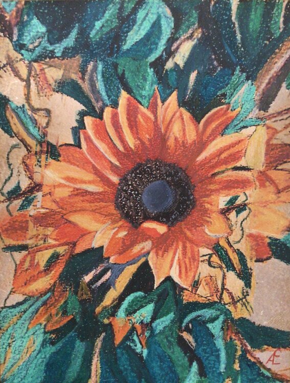 Old Sunflower Claudia Altemeier