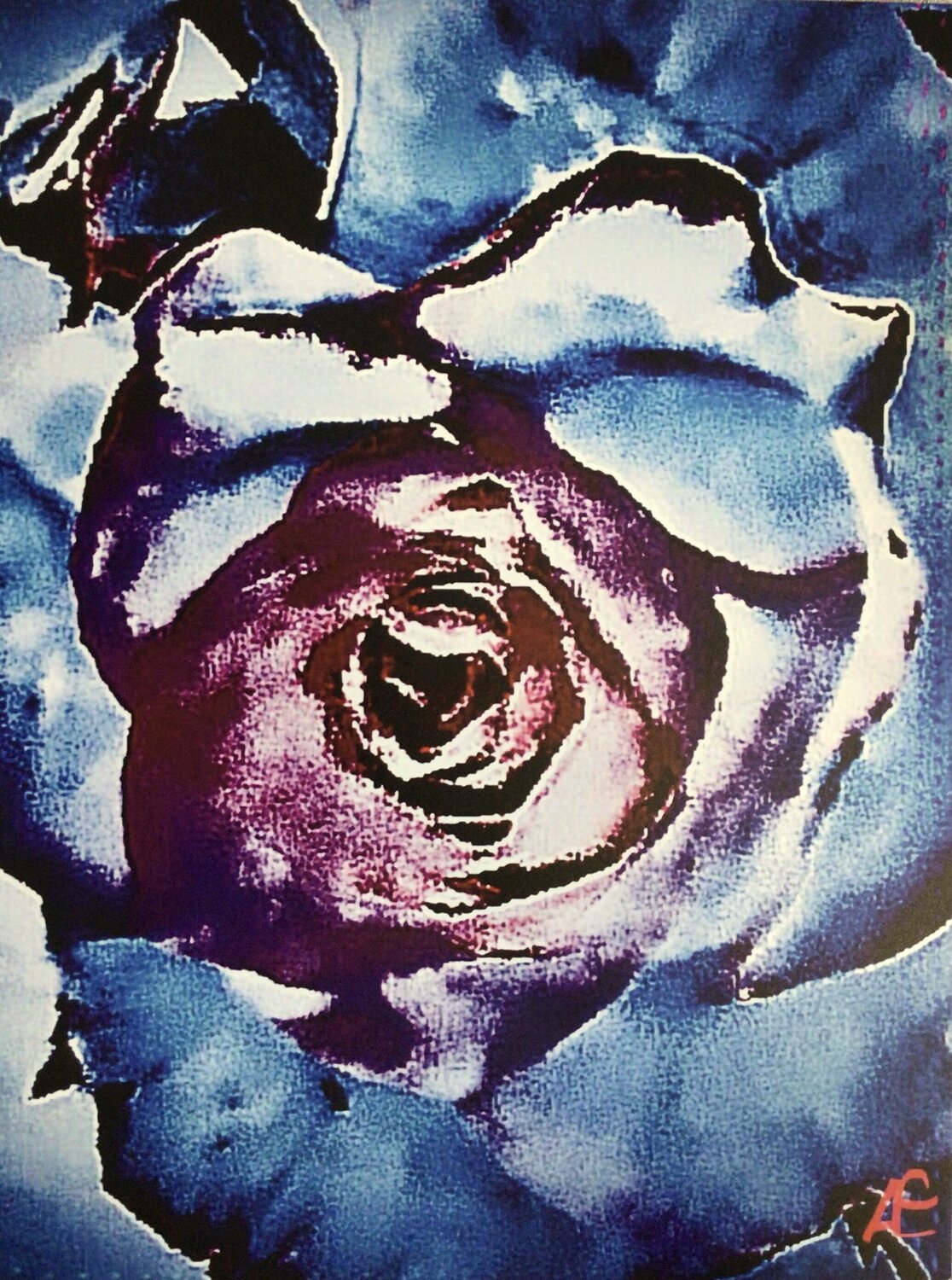 Dark Rose Claudia Altemeier